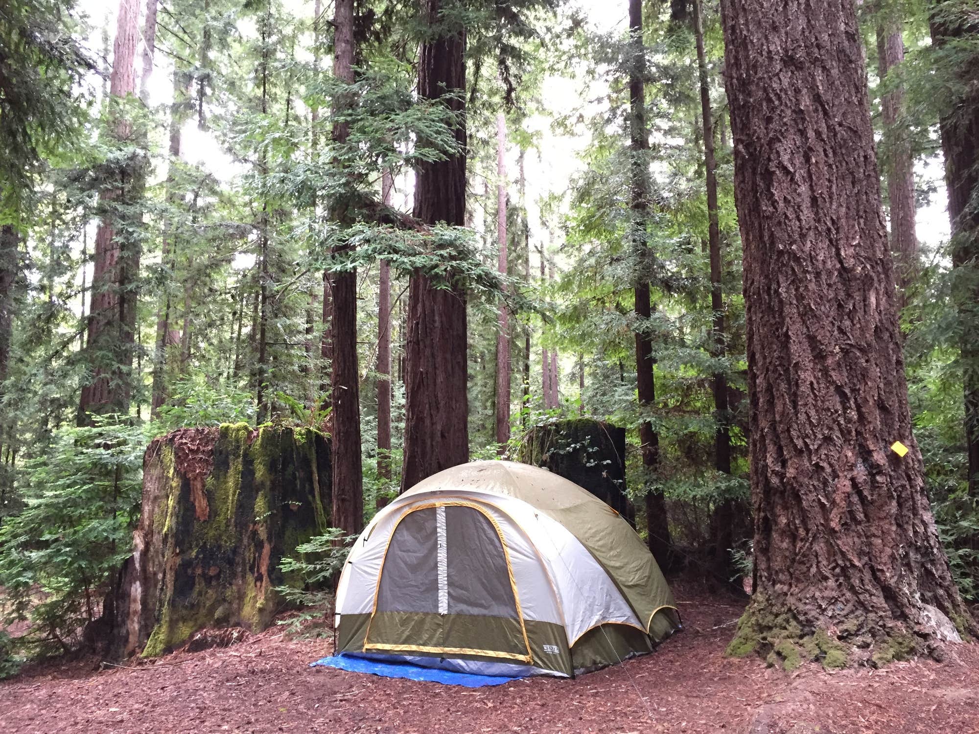 The Dyrt's photo at Camp Navarro near Redwood Valley, CA