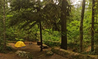 Sarah H.'s photo at Colonial Creek South Campground — Ross Lake National Recreation Area near North Cascades National Park
