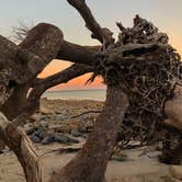 Review photo of Jekyll Island Campground by Amber C., July 18, 2018