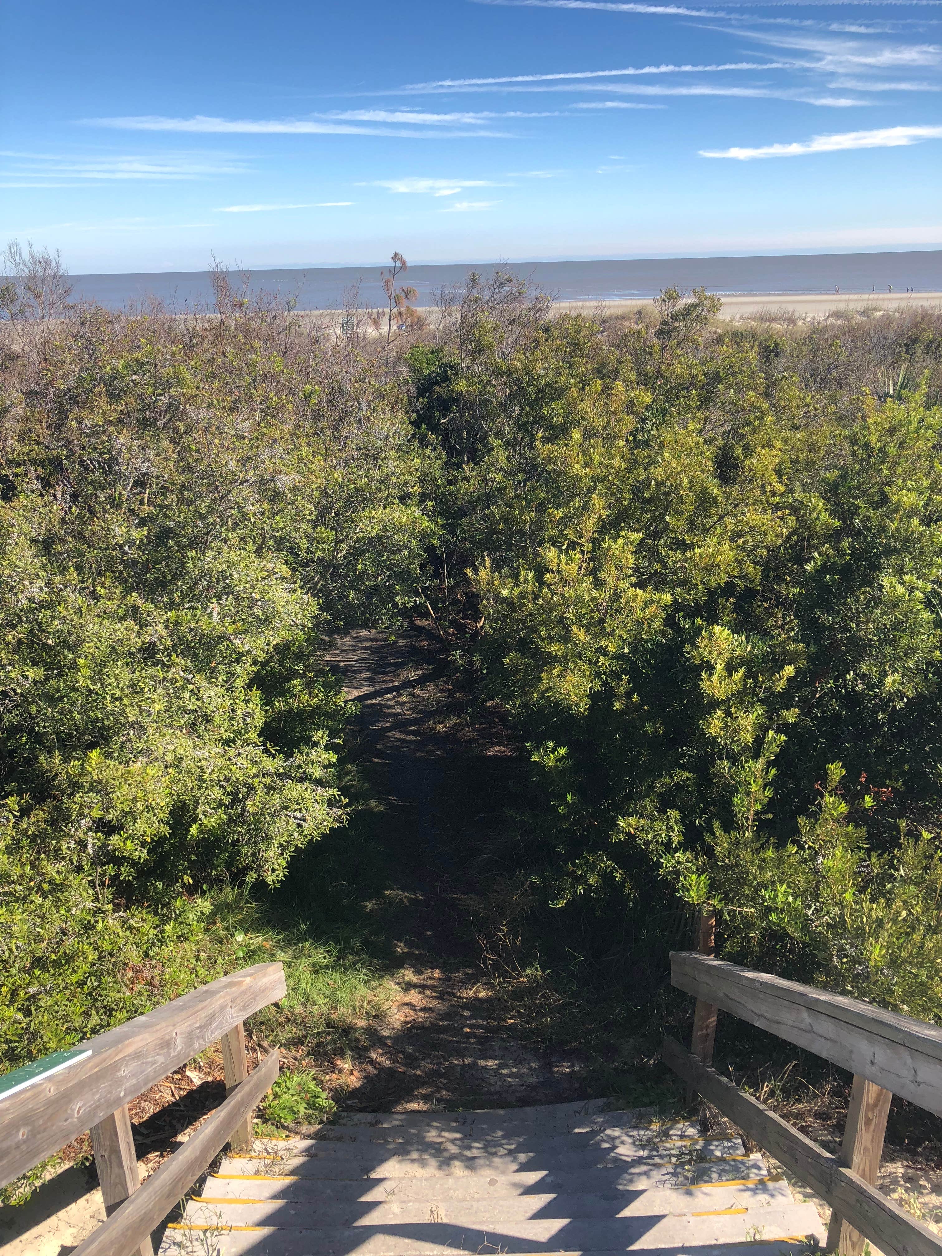 Camper submitted image from Jekyll Island Campground - 2