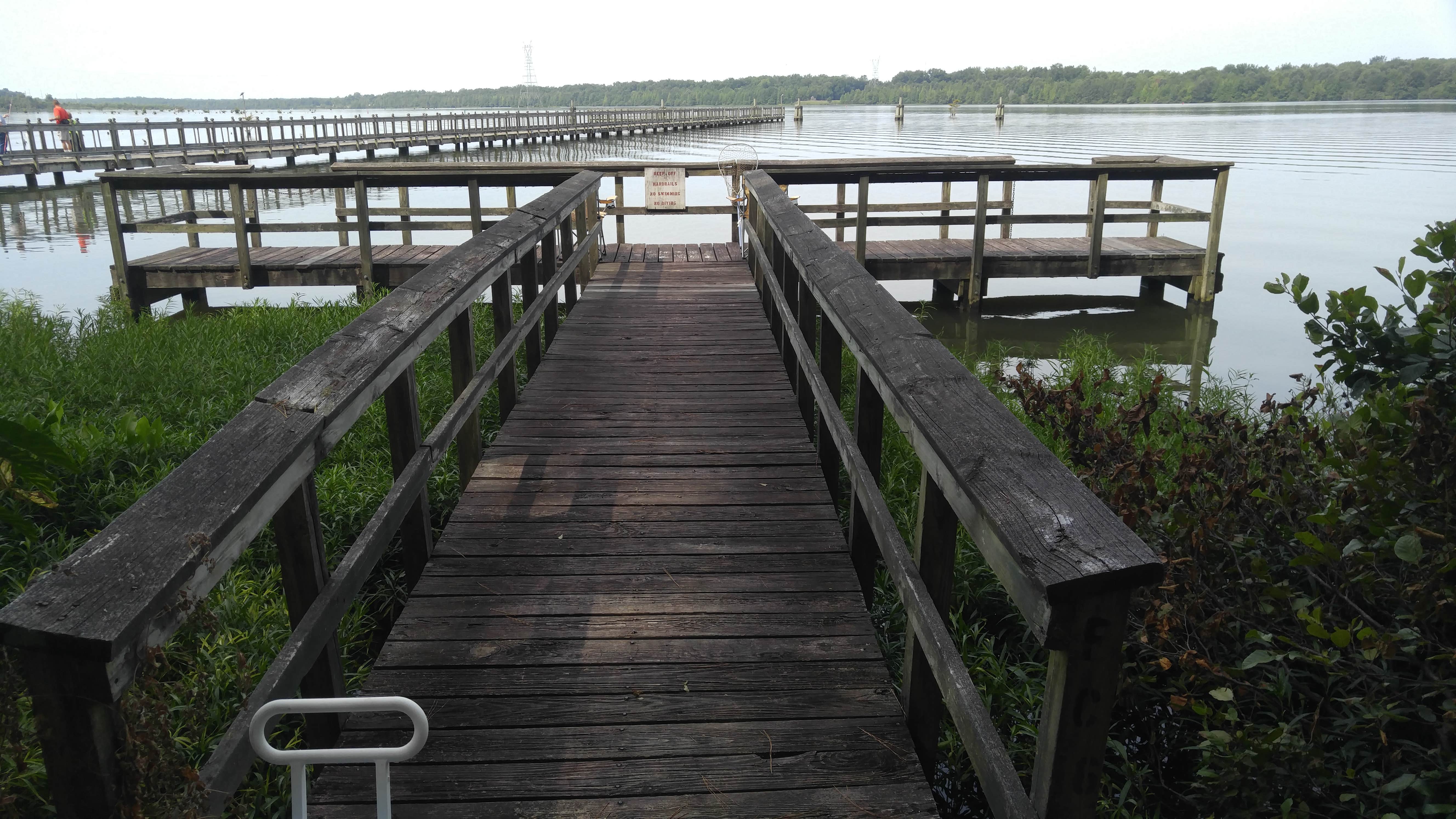 Camper submitted image from Whitten Park Campground - 3