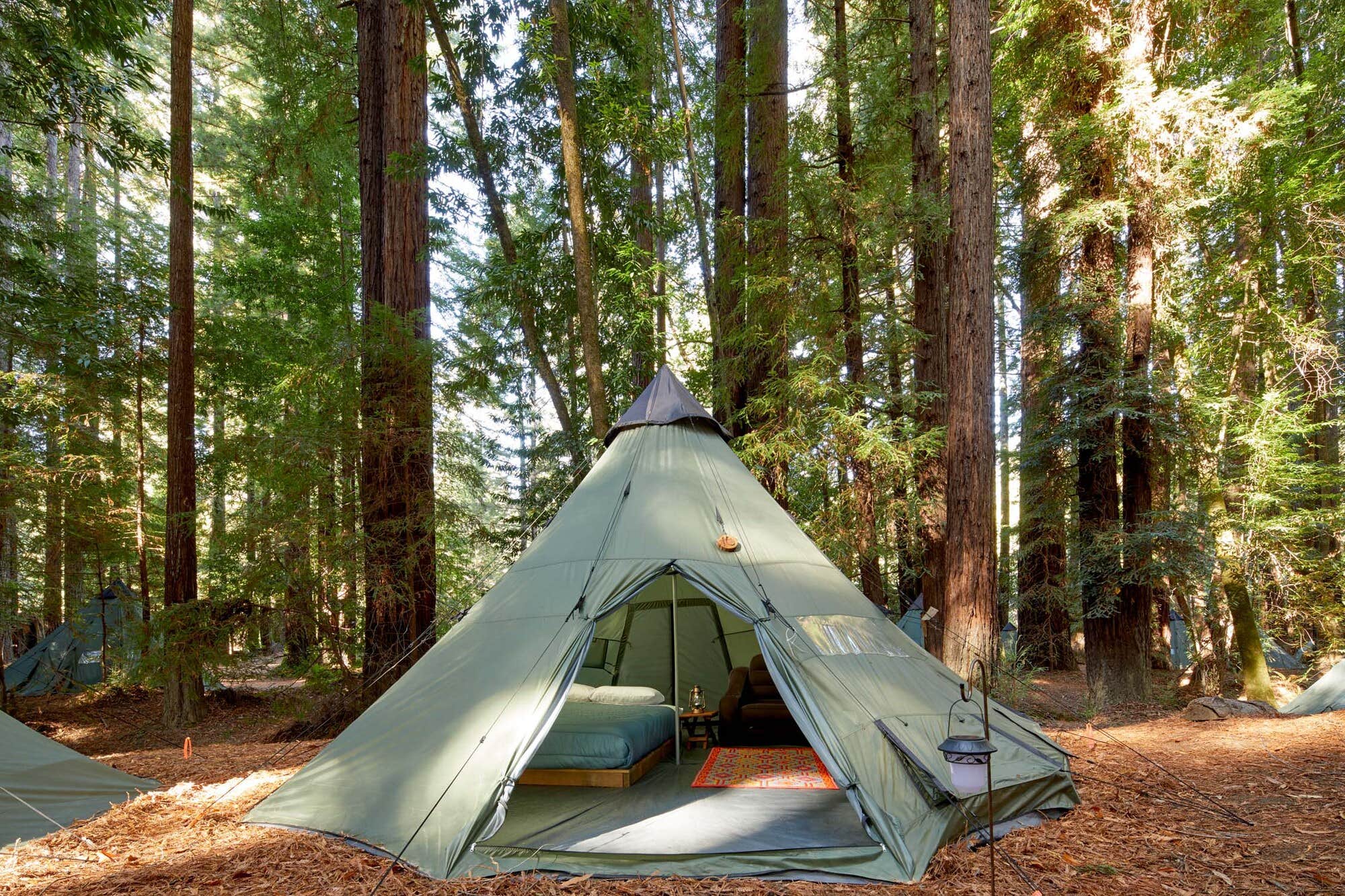 The Dyrt's photo at Camp Navarro near Soda Springs, CA