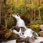 Review photo of Big Creek Horse Camp — Great Smoky Mountains National Park by Sarah H., July 18, 2018