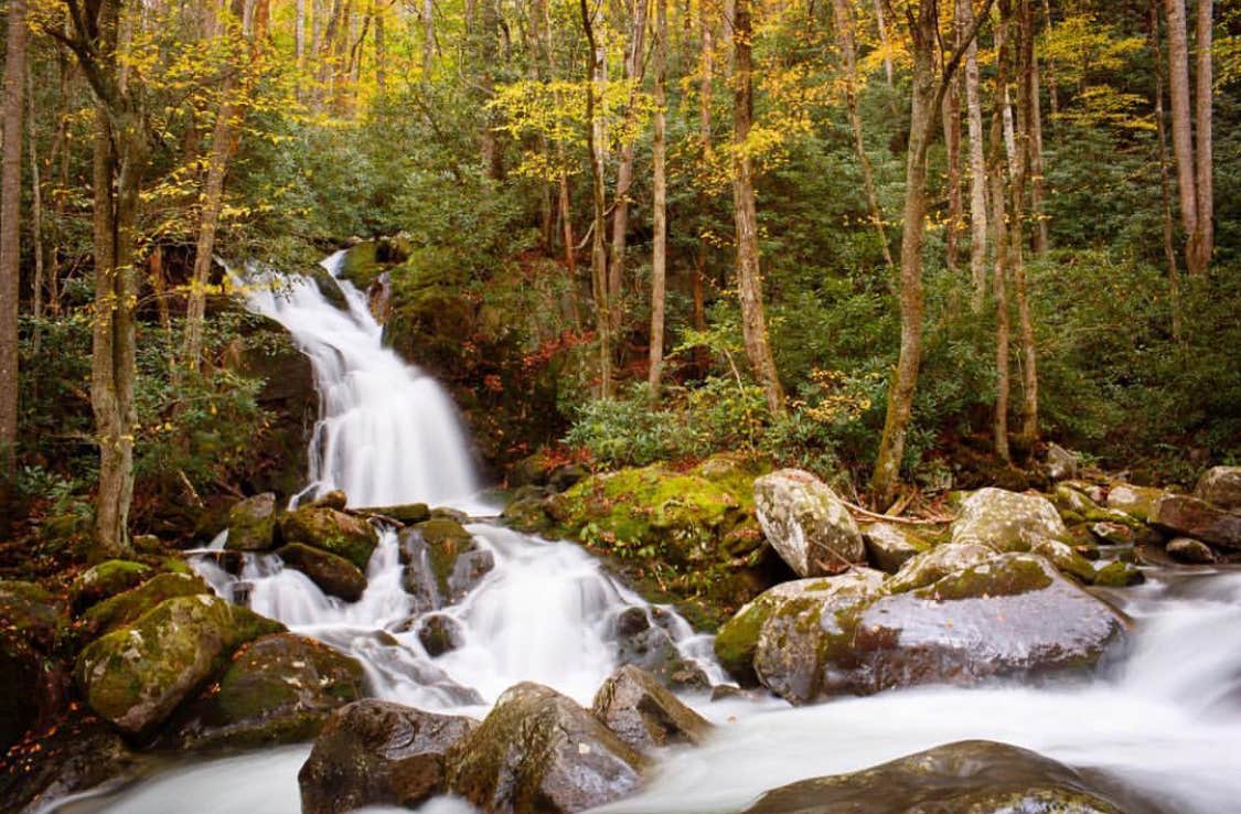 Camper submitted image from Big Creek Horse Camp — Great Smoky Mountains National Park - 3