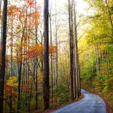 Review photo of Big Creek Horse Camp — Great Smoky Mountains National Park by Sarah H., July 18, 2018