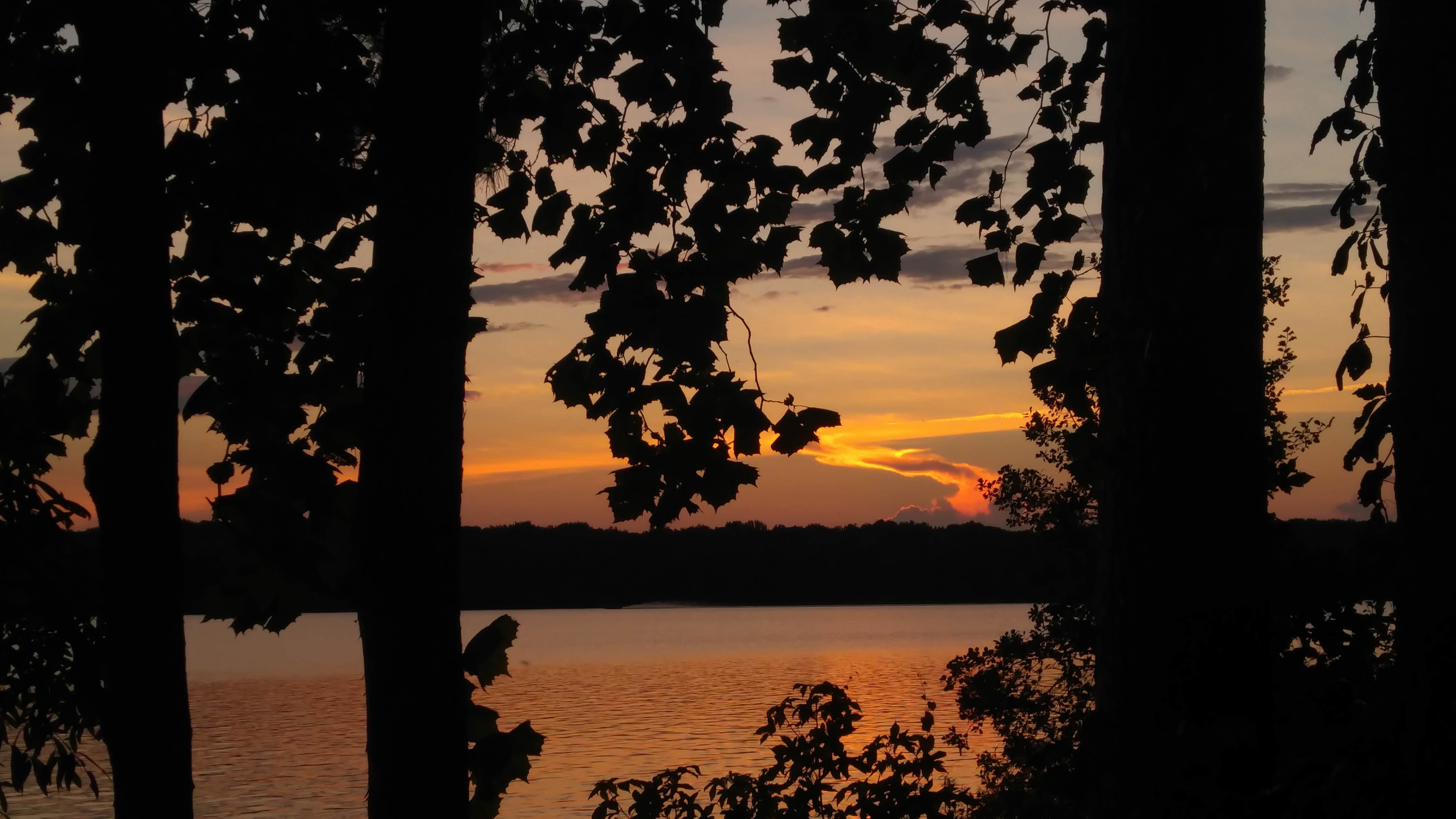 Camper submitted image from Whitten Park Campground - 2