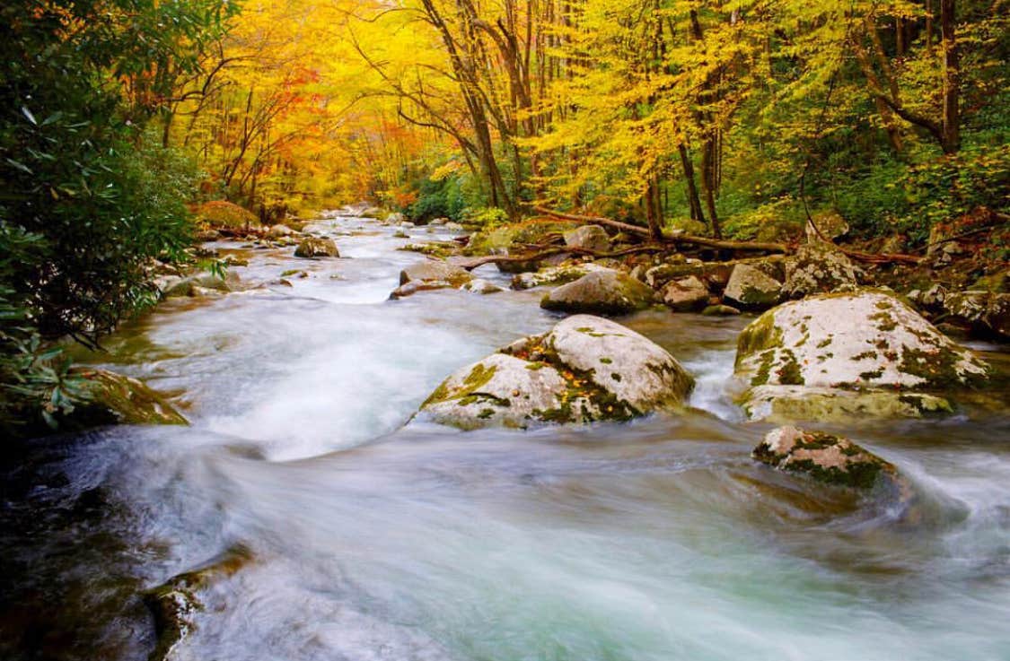 Camper submitted image from Big Creek Horse Camp — Great Smoky Mountains National Park - 3