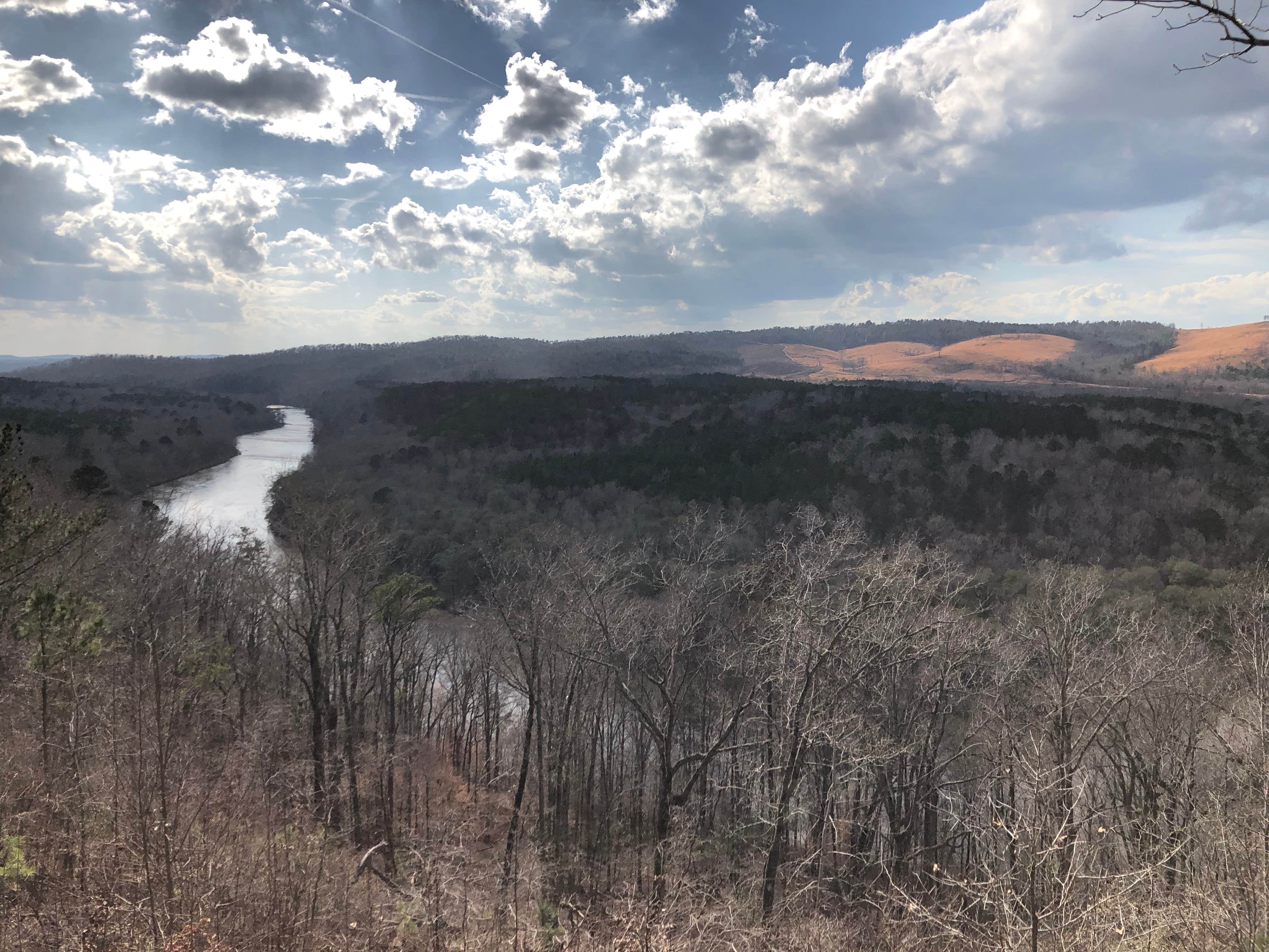 Camper submitted image from Sprewell Bluff Park - 2