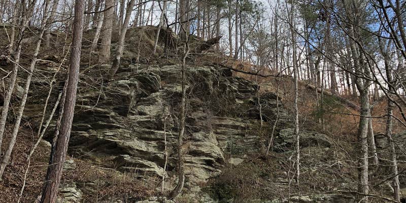 Camper submitted image from Sprewell Bluff Park