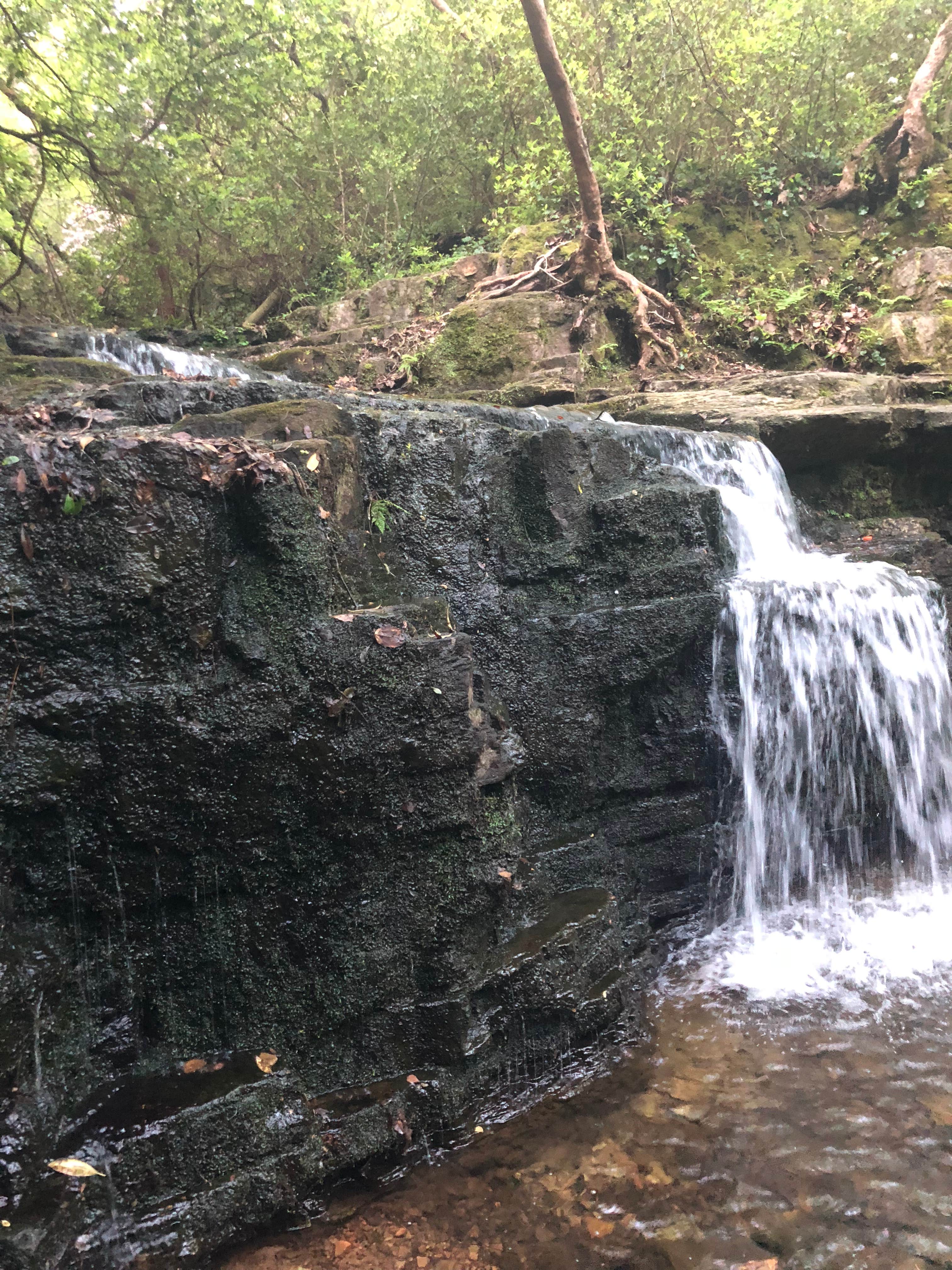Camper-submitted photo at Pine Mountain Camp Ground near Opelika, AL
