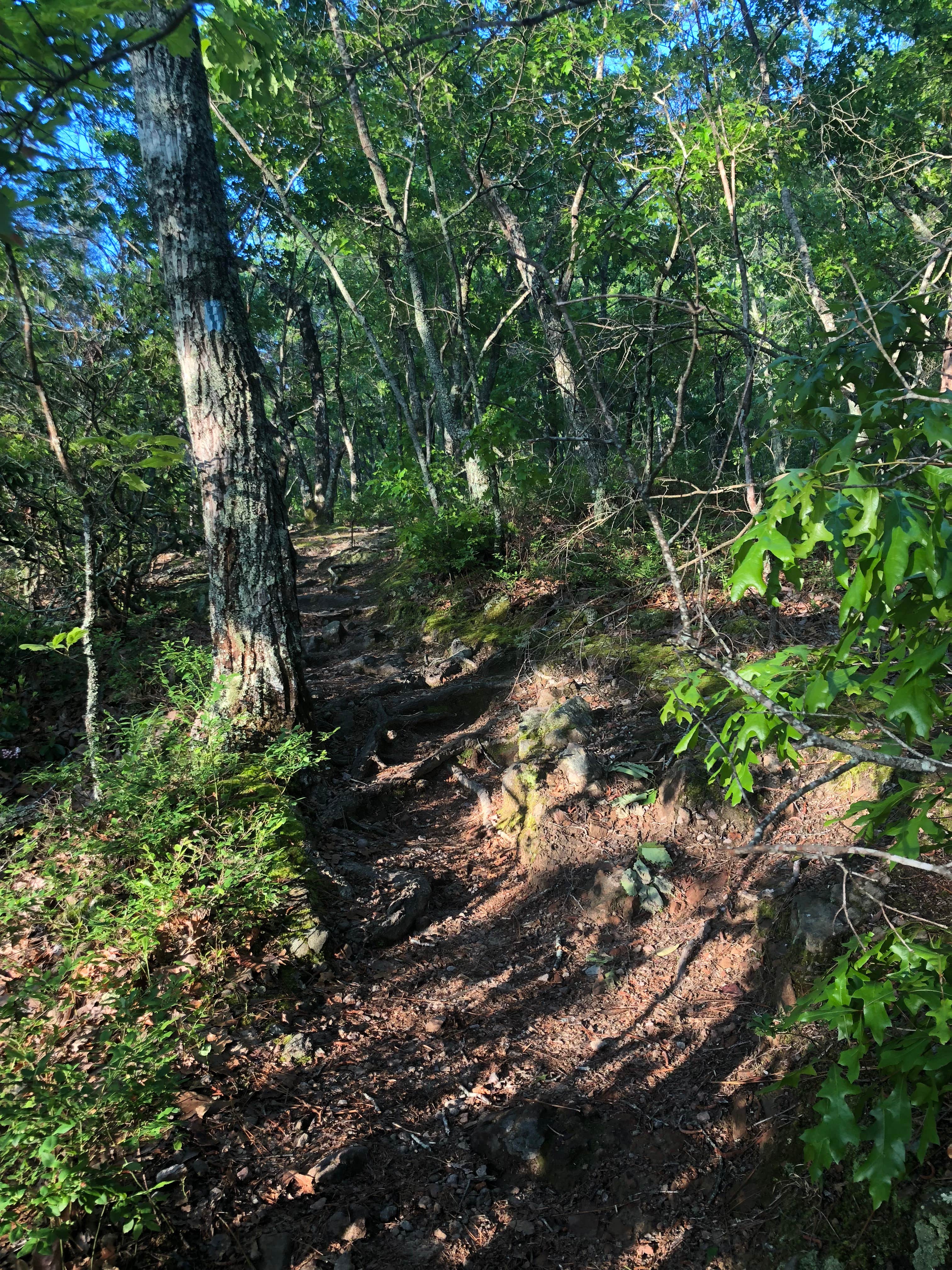 Camper-submitted photo at Pine Mountain Camp Ground near Opelika, AL