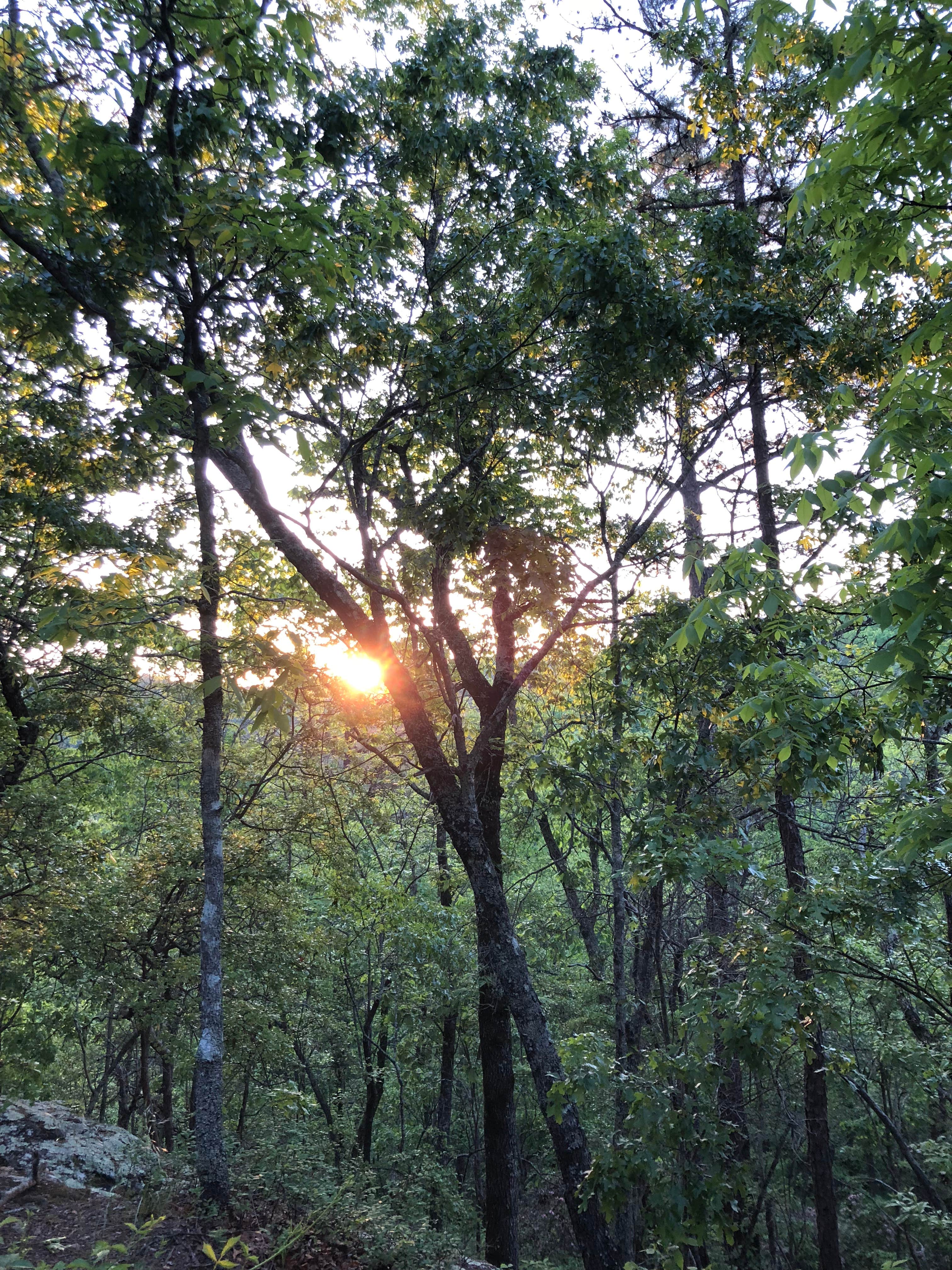 Camper-submitted photo at Pine Mountain Camp Ground near Opelika, AL