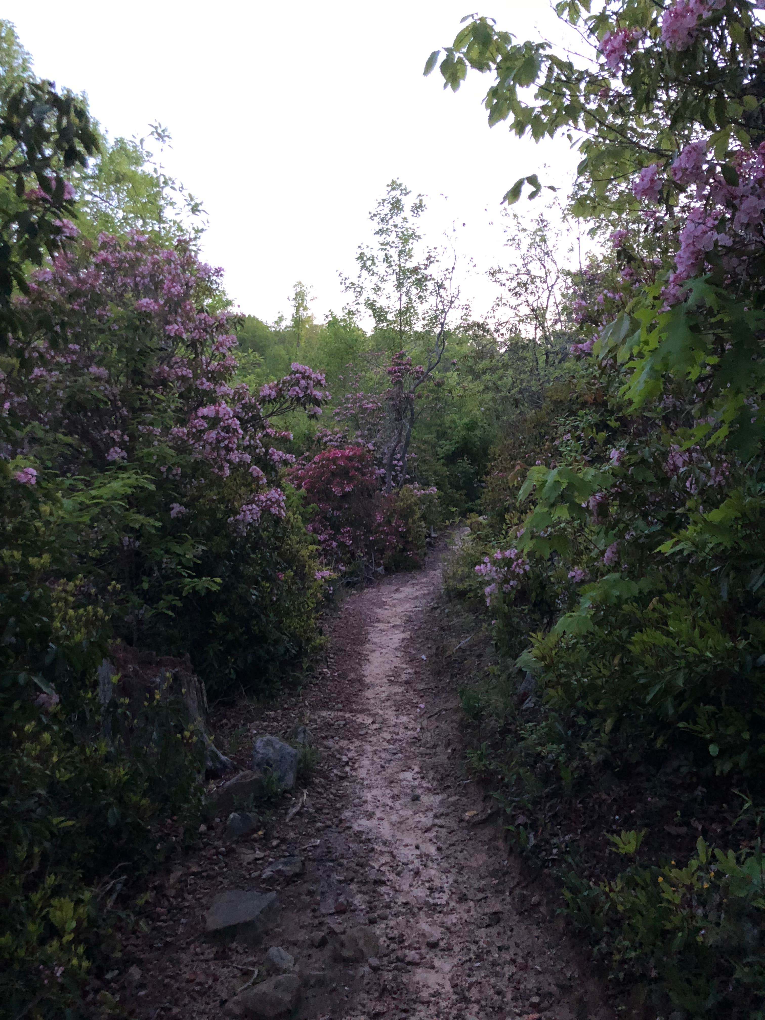 Camper-submitted photo at Pine Mountain Camp Ground near Opelika, AL