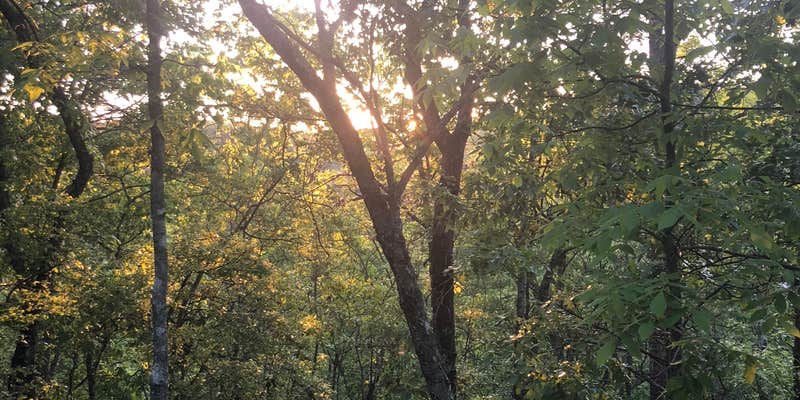 Camper submitted image from Pine Mountain Camp Ground