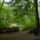 Review photo of Klahowya Campground by Tarah S., July 27, 2016