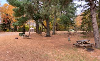 The Dyrt's photo at Otter Lake Campground near Eben Junction, MI