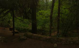 Sarah H.'s photo at Colonial Creek South Campground — Ross Lake National Recreation Area near North Cascades National Park
