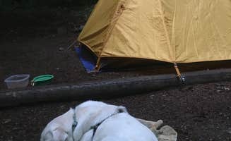 Sarah H.'s photo at Colonial Creek South Campground — Ross Lake National Recreation Area near North Cascades National Park