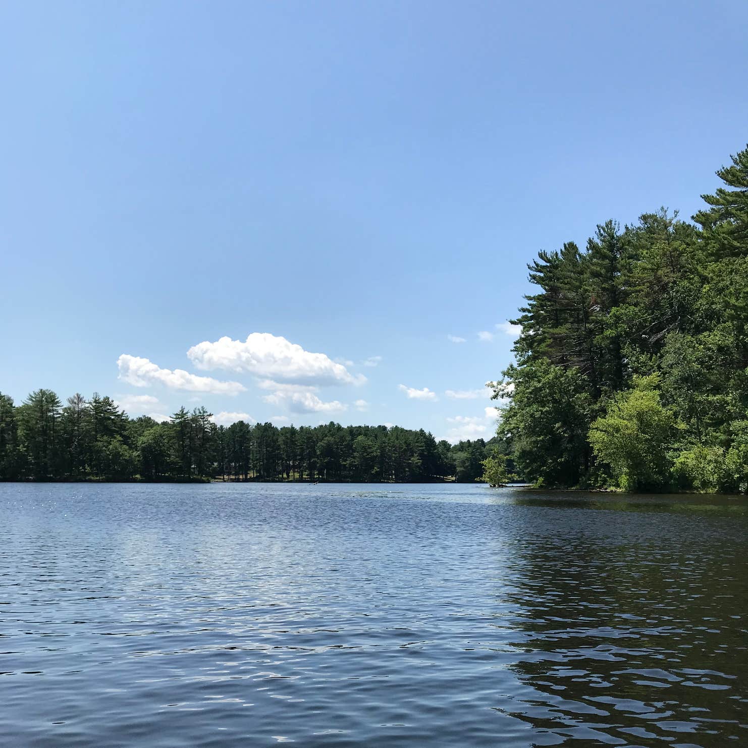 Harold Parker State Forest - Lorraine Campground Camping | The Dyrt