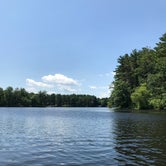 Review photo of Lorraine Park Campground — Harold Parker State Forest by Kelly F., July 18, 2018