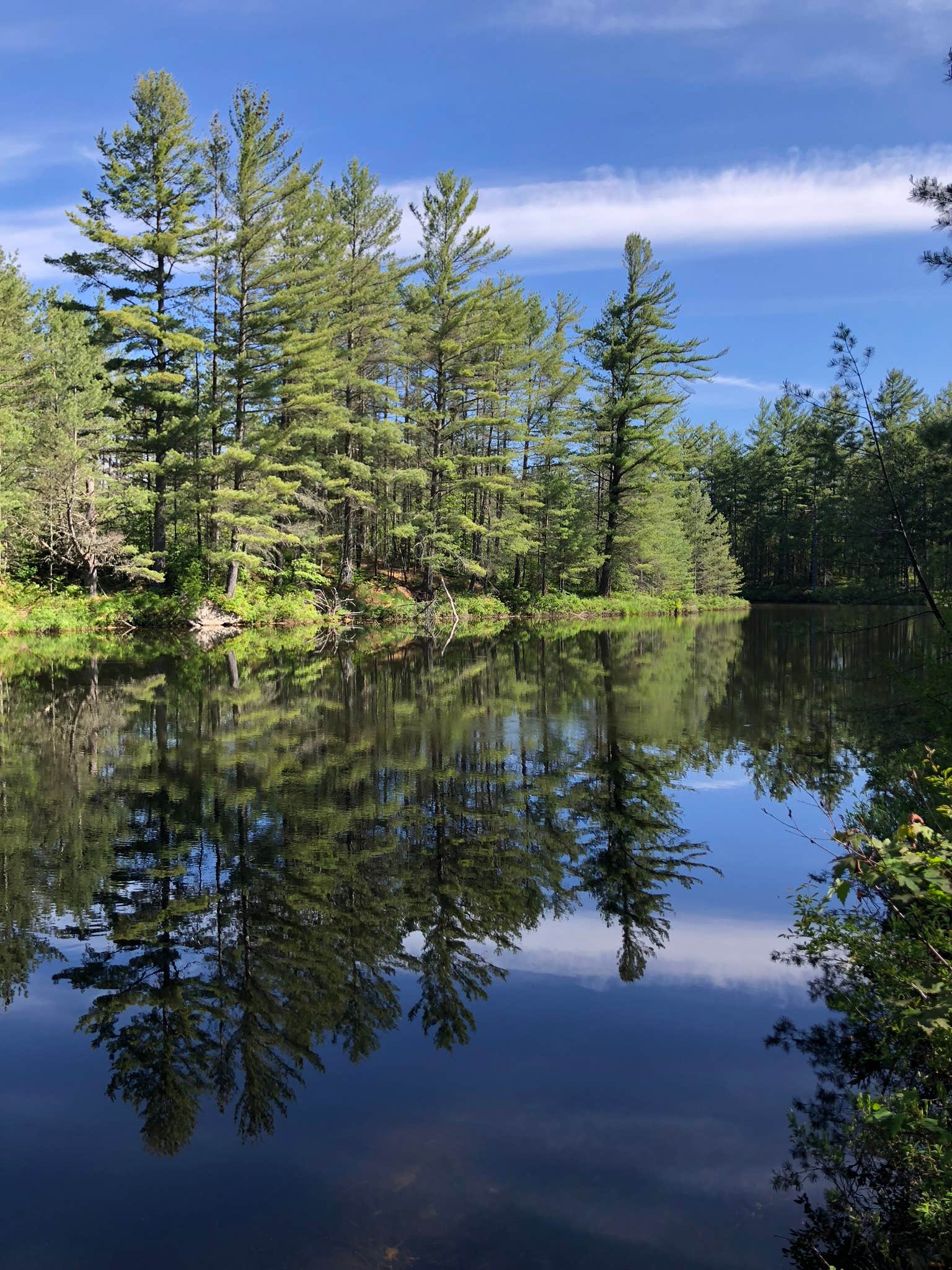 Camper submitted image from Buck Pond Campground - 2