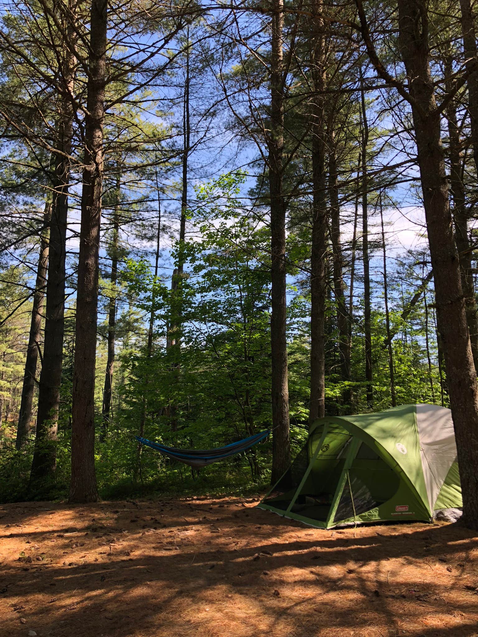 Michelle K.'s photo at Buck Pond Campground near Rainbow Lake, NY