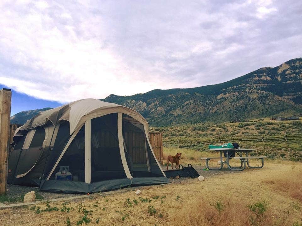Tabitha H.'s photo of tent camping at North Fork Campground — Buffalo Bill State Park near Meeteetse, WY