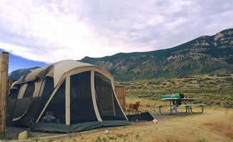 Tabitha H.'s photo of tent camping at North Fork Campground — Buffalo Bill State Park near Red Lodge, MT