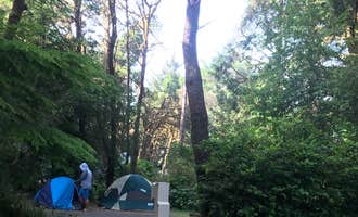 Camping near Cape Perpetua: Carl G. Washburne Memorial State Park Campground, Yachats, Oregon
