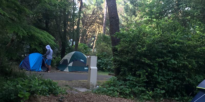 Camper submitted image from Carl G. Washburne Memorial State Park Campground