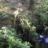 Review photo of Carl G. Washburne Memorial State Park Campground by Shari P., July 18, 2018