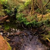 Review photo of Carl G. Washburne Memorial State Park Campground by Shari P., July 18, 2018