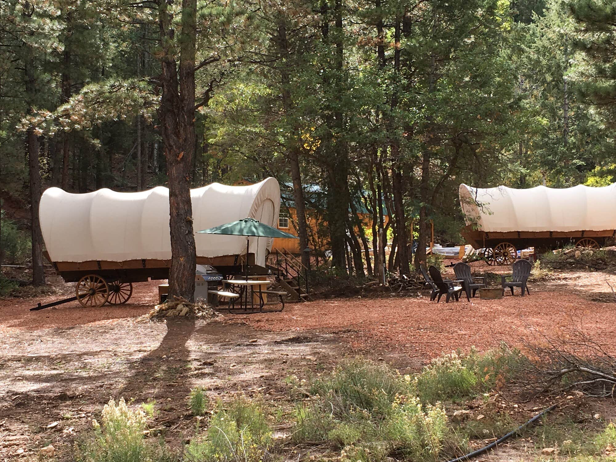 The Dyrt's photo at Whispering pines glamping resort near Alton, UT