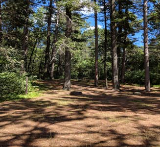 Camper-submitted photo from North Trout Lake Campground — Northern Highland State Forest
