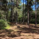 Review photo of North Trout Lake Campground — Northern Highland State Forest by Jay W., July 18, 2018