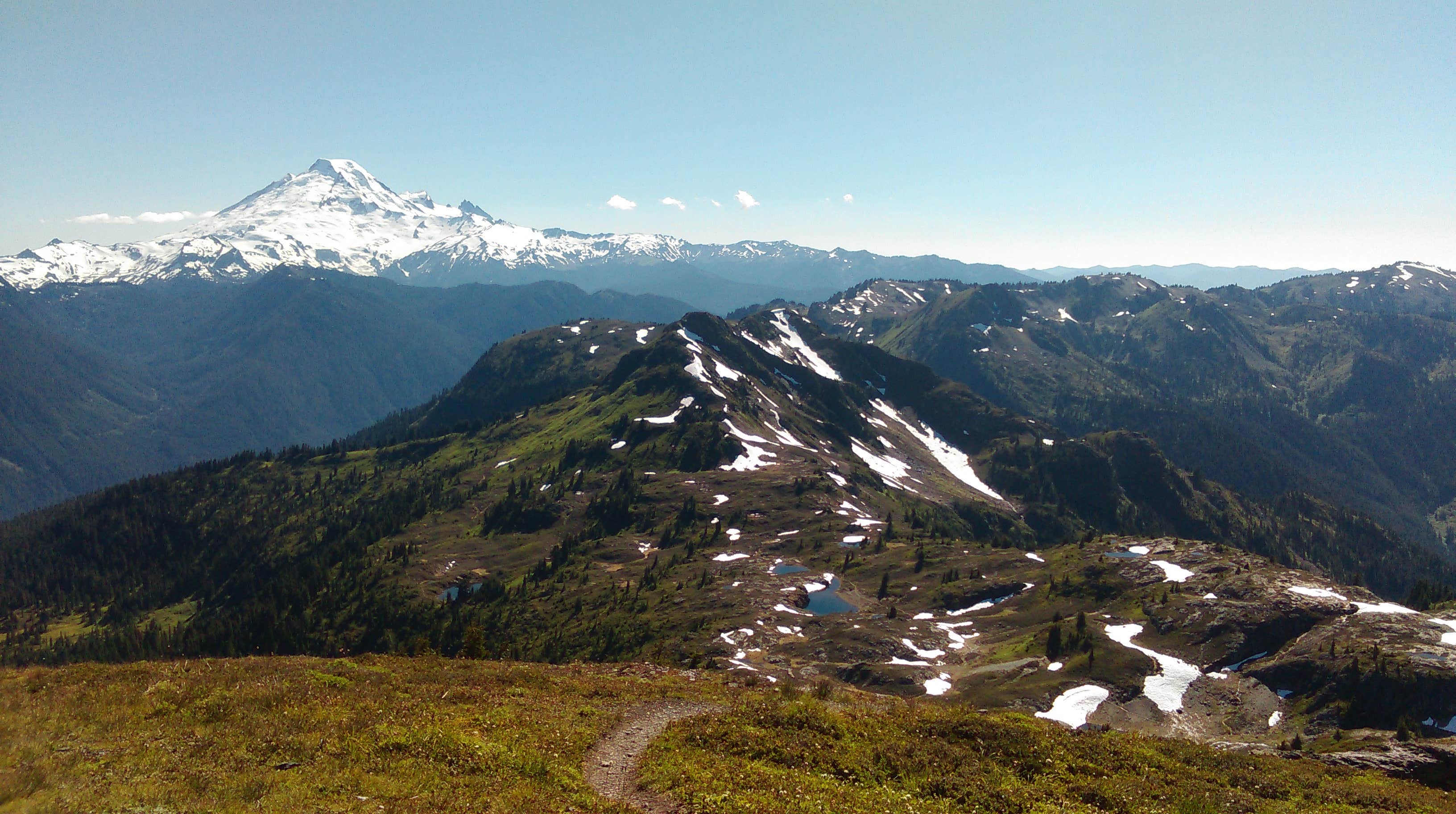 View All