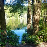 Review photo of Pine and Cedar Lakes Primitive Camping by Niki A., July 18, 2018