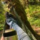 Lyre River- State Forest
