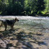 Review photo of Lyre River- State Forest by Abby K., July 18, 2018