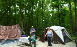 Camping near Hollofield Area Campground: Ramblin' Pines, Woodbine, Maryland