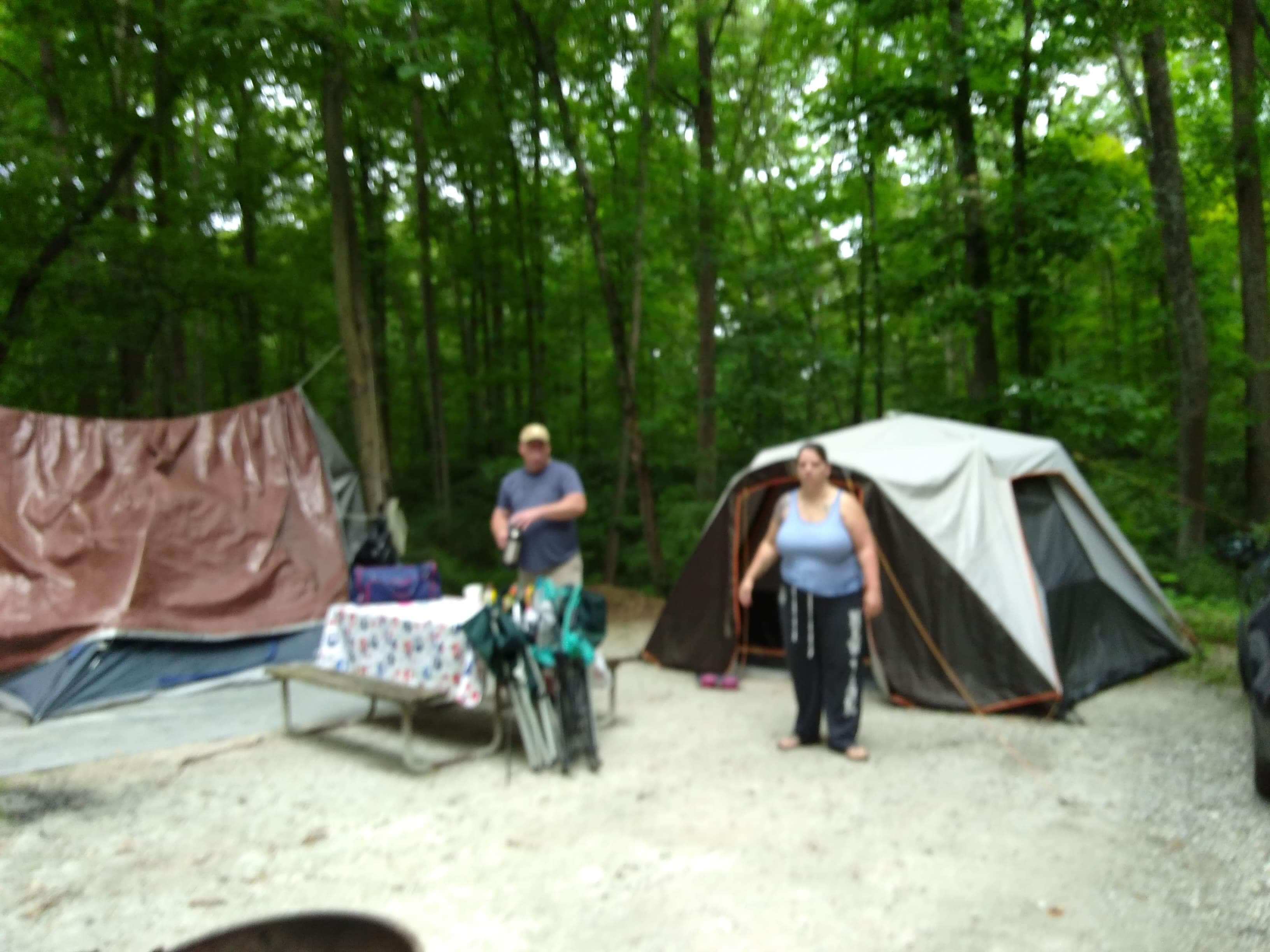 Camper submitted image from Ramblin' Pines - 1