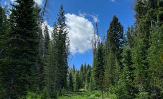 Camping near Dutch Hill Campground — Steamboat Lake State Park: Hahns Peak Lake Campground, Clark, Colorado