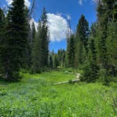 Review photo of Hahns Peak Lake Campground by Tyler W., July 6, 2022