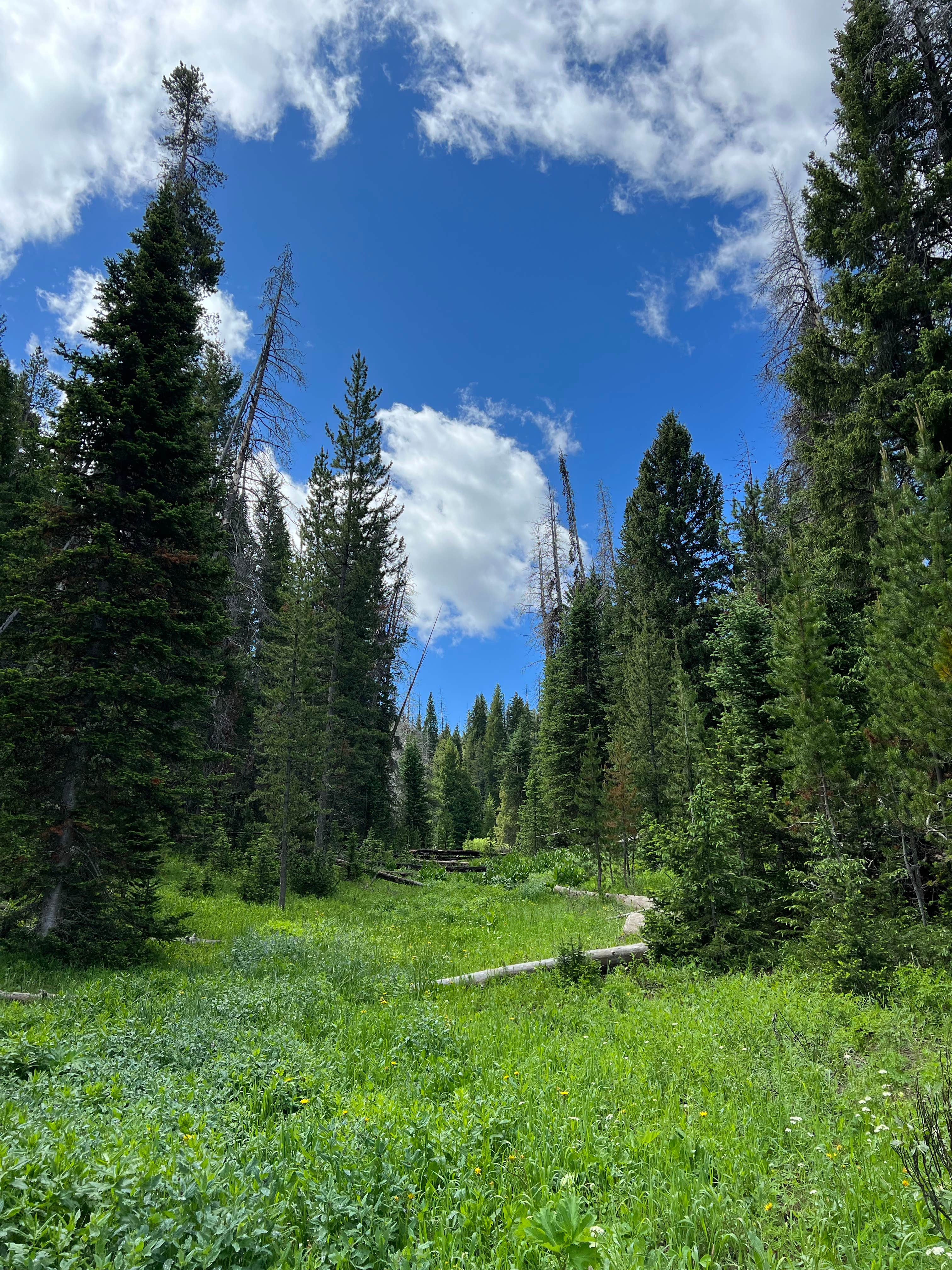 Camper submitted image from Hahns Peak Lake Campground - 1