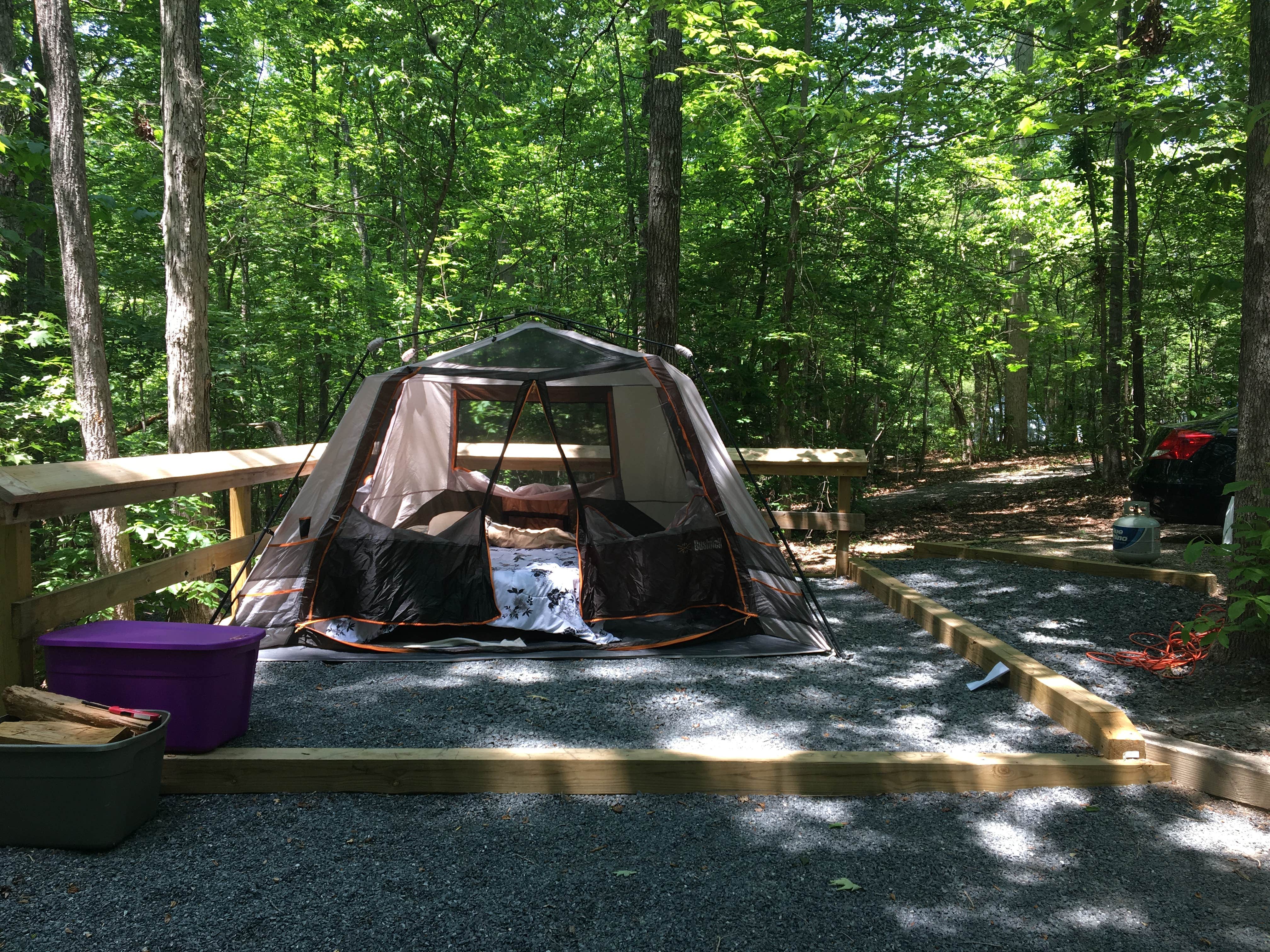 Michelle  L.'s photo at McDowell Nature Preserve in North Carolina