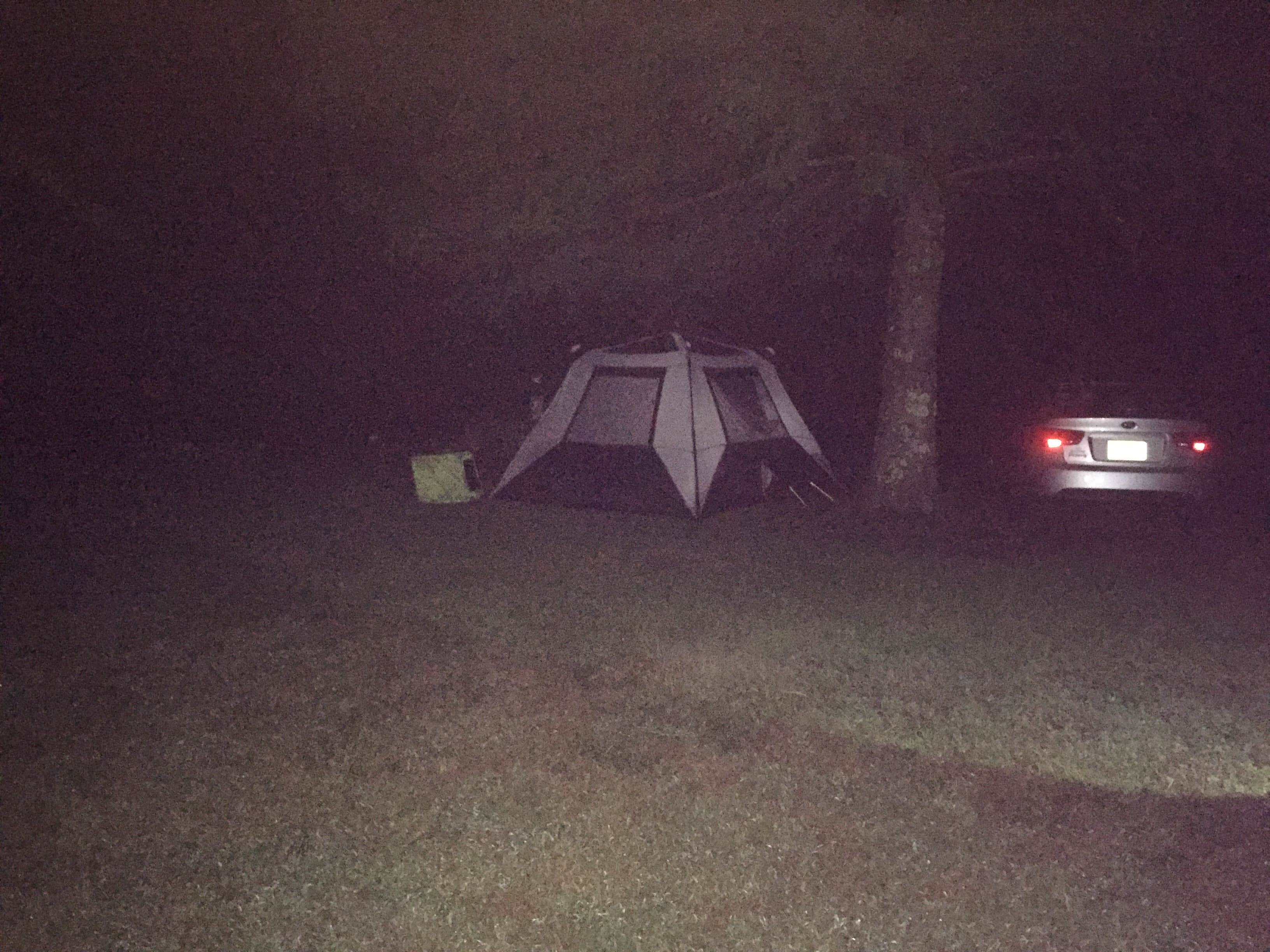 Camper submitted image from Starlite Trailer Lodge - 4