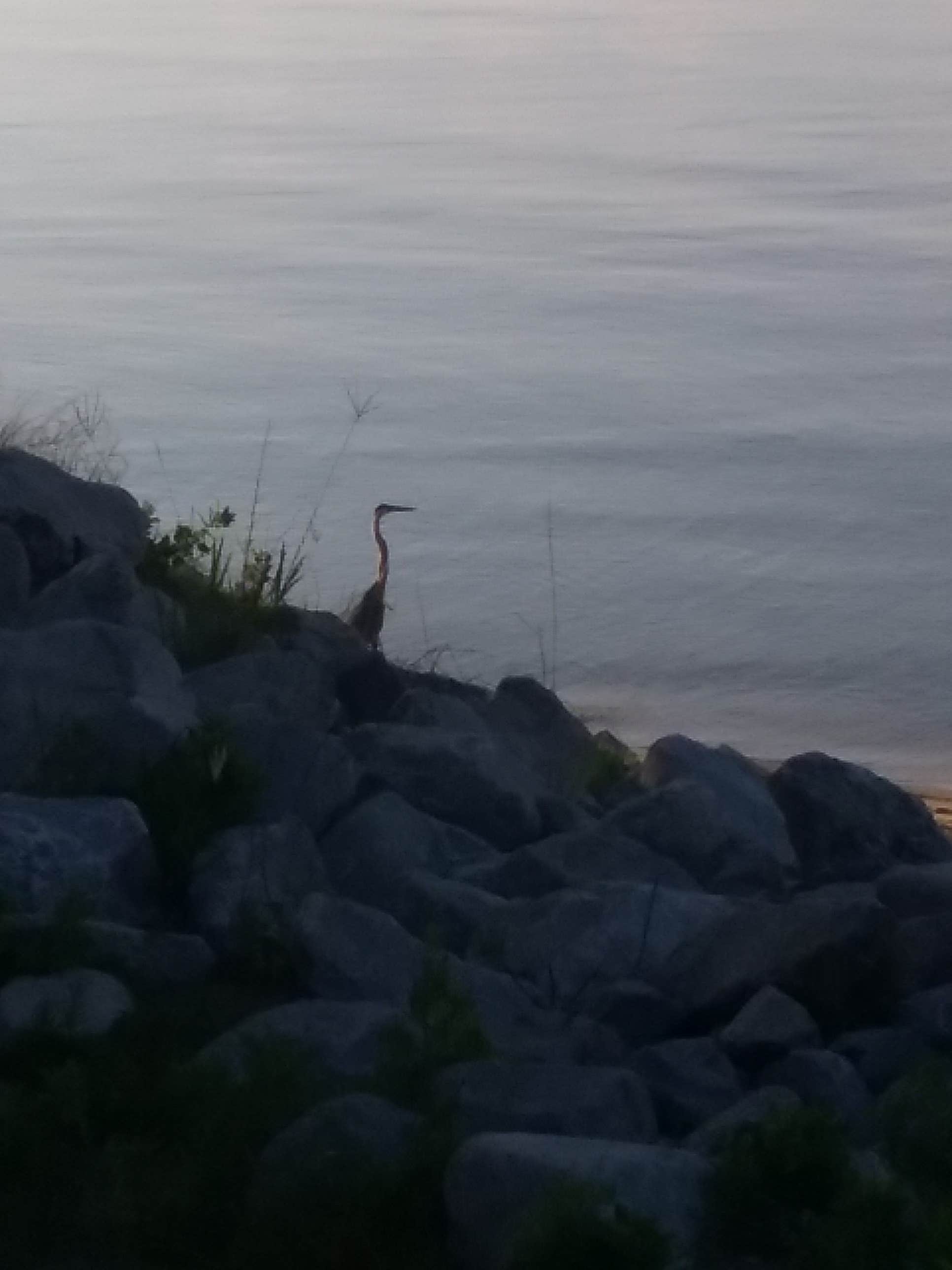 Camper submitted image from Mid Bay Shores Maxwell - 5
