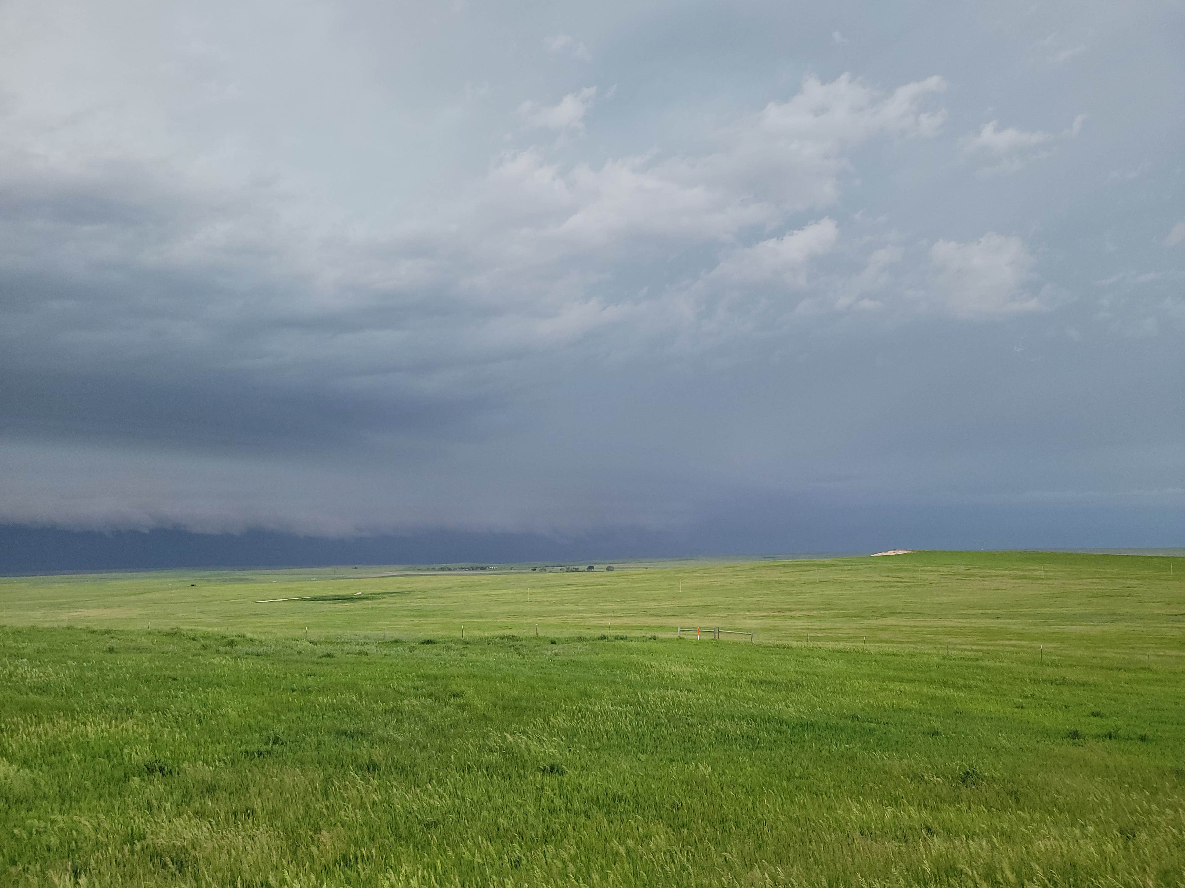 Camper submitted image from Baja Area Dispersed - Buffalo Gap National Grassland - 3