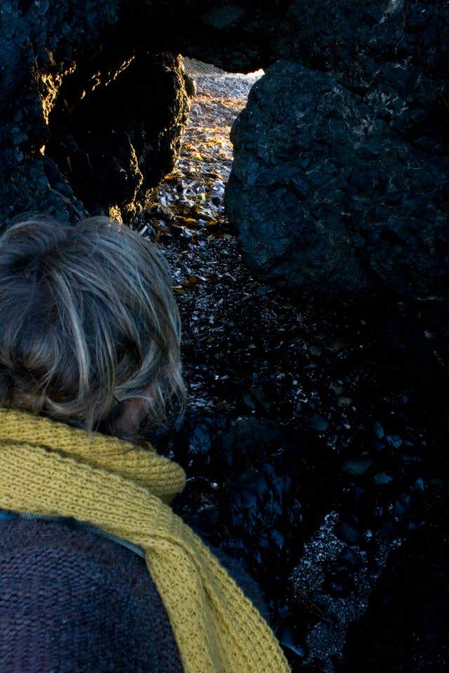 Tarah S.'s photo of camping with pets at Salt Creek Recreation Area near Port Angeles, WA