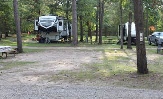 The Dyrt's photo at Twin Bears Wooded Campground near Mullett Lake, MI